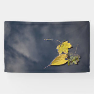 91 x 152 cm spandoek