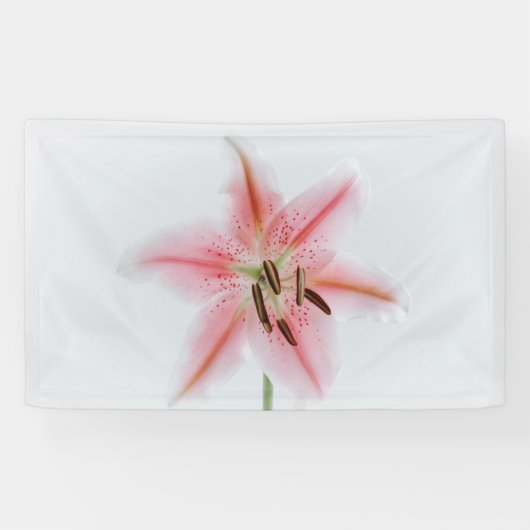 91 x 152 cm spandoek (Horizontaal)