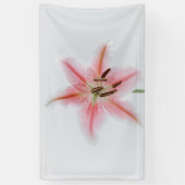 91 x 152 cm spandoek (Verticaal)