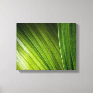9206-Groene bladeren Canvas Afdruk