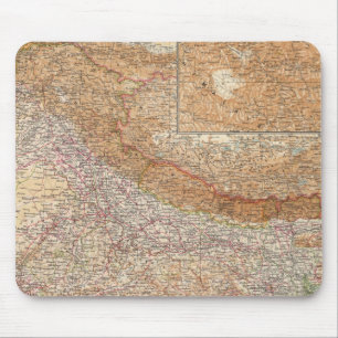 9394 India Muismat