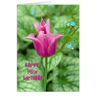95th Birthday Tulip