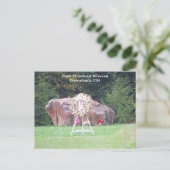 9/11 Vol 93 Carte postale commémorative nationale (Debout devant)