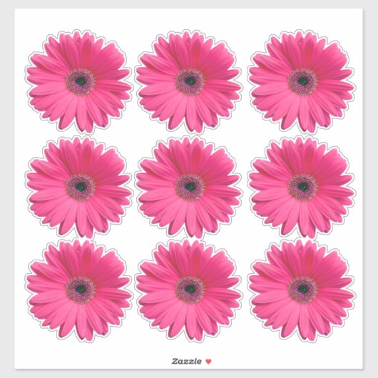9 autocollants en forme de fleur de gerbera rose (Feuille)