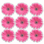 9 autocollants en forme de fleur de gerbera rose (Devant)