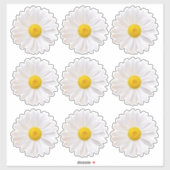 9 autocollants Kiss-Cut à motif de marguerite de S (Feuille)