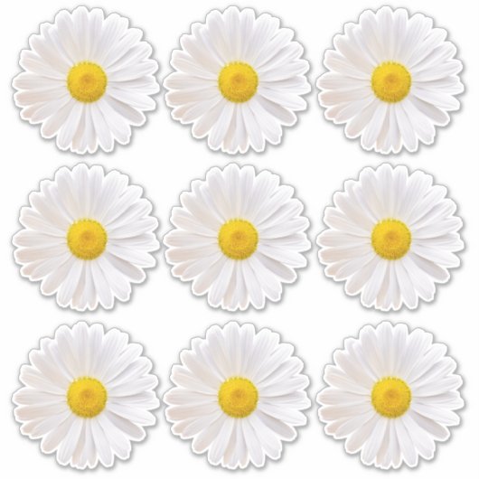 9 autocollants Kiss-Cut à motif de marguerite de S (Devant)