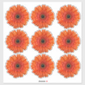 9 autocollants Kiss-Cut de fleurs d'orange Gerbera (Feuille)