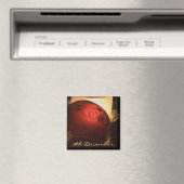 9 décembre ・ Bauble ・ Magnet (In Situ (Lave-vaisselle))