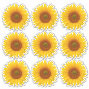9 Geel Sinaasappel Zonnebloem Kiss-Cut Stickers