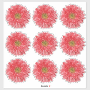 9 Koraalrode Gerbera-Margriet Bloem Kiss-Cut Stick Sticker