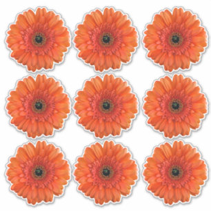 9 Oranje Gerbera Madeliefje Flower Kiss-Cut Sticke Sticker