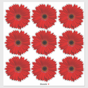 9 Rood Gerber Madeliefje Flower Kiss-Cut Stickers