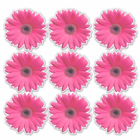 9 Roze Gerbera Gerbera Bloem Kiss-Cut Stickers (Voorkant)
