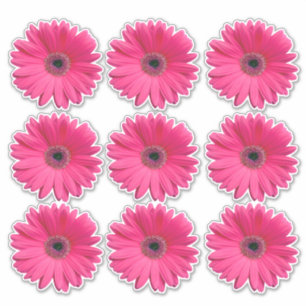 9 Roze Gerbera Tulp Bloem Kiss-Cut Stickers
