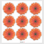 9 Stickers Baiser-Baisers Orange Gerbera Daisy (Feuille)