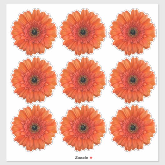 9 Stickers Baiser-Baisers Orange Gerbera Daisy (Feuille)