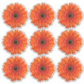 9 Stickers Baiser-Baisers Orange Gerbera Daisy (Devant)
