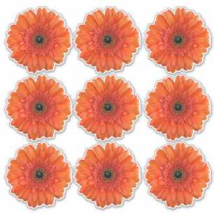 9 Stickers Baiser-Baisers Orange Gerbera Daisy