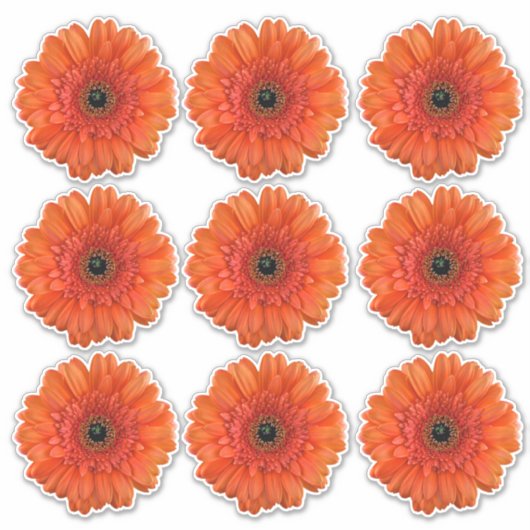 9 Stickers Baiser-Baisers Orange Gerbera Daisy (Devant)