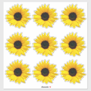 9 Stickers Kiss-Cut Fleur de Tournesol Jaune