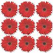 9 Stickers Kiss-Cut Fleur Gerber Rouge (Devant)