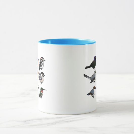 9 Zuid-Oost-Amerikaanse achtertuin Mok (Midden)