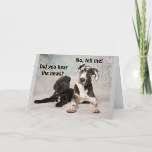 **9e ANNIVERSAIRE** Carte de voeux COOL