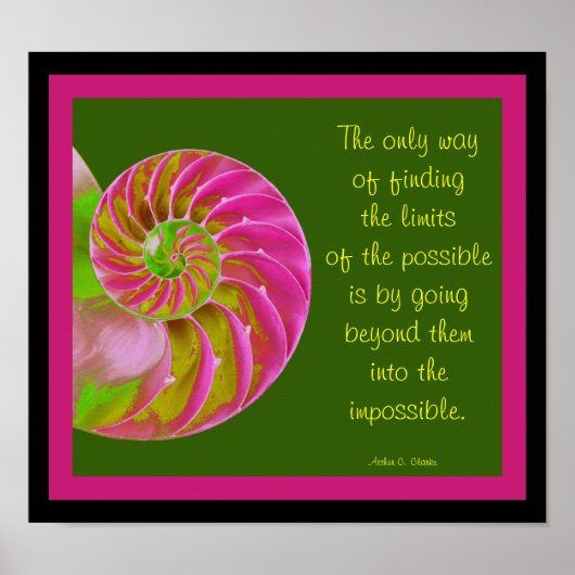 A001 Chambered Nautilus - Possibilities Quote Poster (Voorkant)
