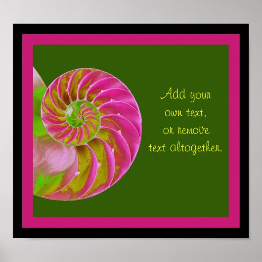 A001 Chambered Nautilus - Poster (Voorkant)