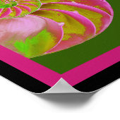 A001 Chambered Nautilus - Poster (Hoek)