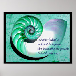 A01 Nautilus Shell-Poster met Inspirerend offerte Poster