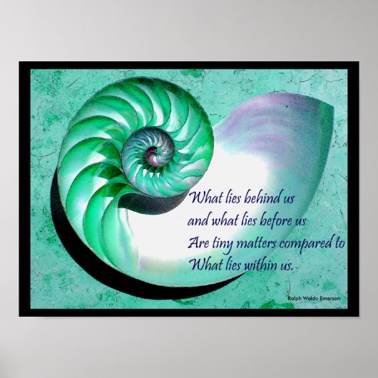 A01 Poster de coquille Nautilus avec une citation  (Devant)