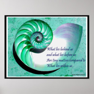 A01b Nautilus Shell Poster - Inspirerend prijsopga