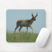 A10 Pronghorn Antelope en wilde bloemen Muismat (Met muis)