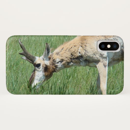 A11 Gaffelbok Grazend Case-Mate iPhone Case (Achterkant (horizontaal))