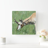A11 Pronghorn Antelope Buck Grazing Vierkante Klok (Huis)