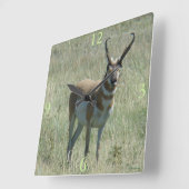 A13 Pronghorn Antelope Buck Vierkante Klok (Hoek)