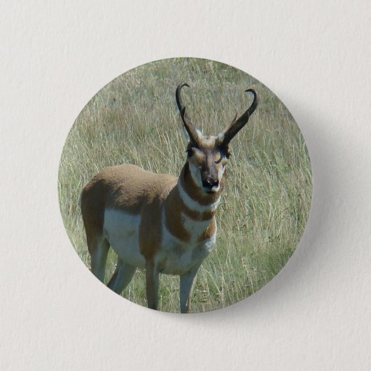 A13 Pronghorn Antelope Ronde Button 5,7 Cm (Voorkant)
