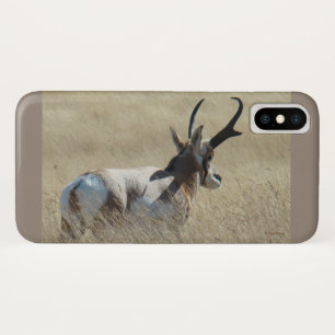 A14 Gaffelantilope Zonneschijn Bok iPhone X Hoesje
