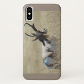 A14 Pronghorn Antelope Sunshine Buck Case-Mate iPhone Case (Achterkant)