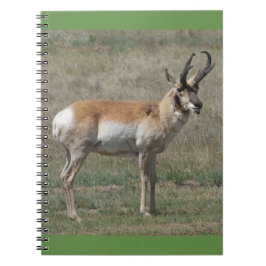 A15 Gaffelantelope Onbeleefde Bok Notitieboek