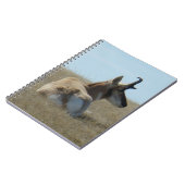 A16 Pronghorn Antelope Napping Notitieboek (Linkerzijde)