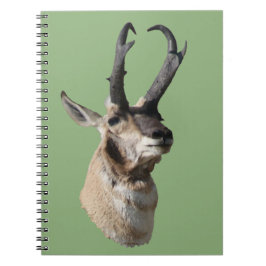 A18 Gaffelantilope bok kopschot Notitieboek