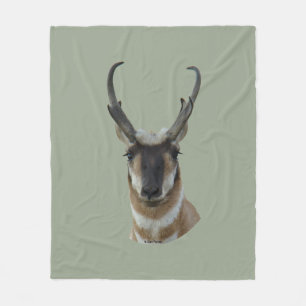 A19 Gaffelantelope Donkere Gezicht Bok Kop Schot Fleece Deken