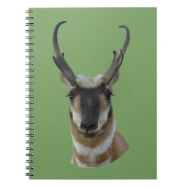 A19 Gaffelantilope Donkere Gezicht Bok Kop Schot Notitieboek