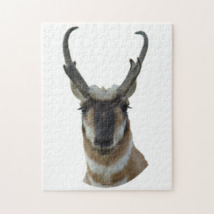 A19 Gaffelantilope Kop Legpuzzel