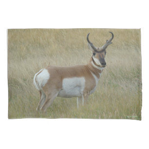 A1 Gaffelantilope Grote Bok Kussensloop