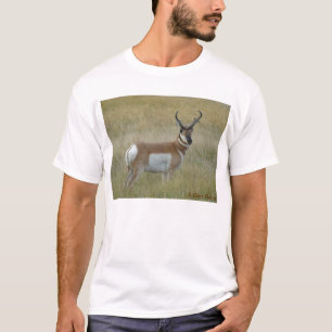 A1 Gaffelantilope Grote Bok T-shirt