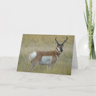A1 Gaffelbok Ram Kaart